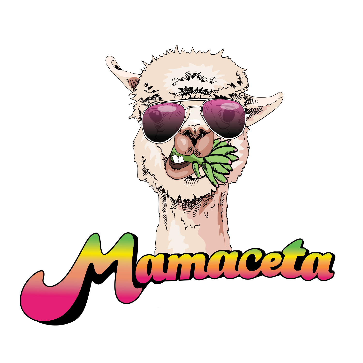 mamaceta.com